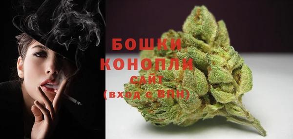 метадон Гусев