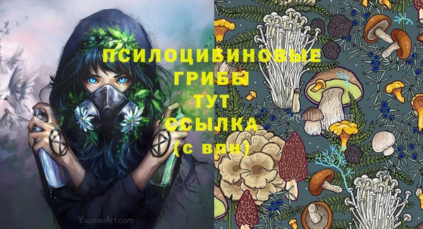 таблы Горнозаводск