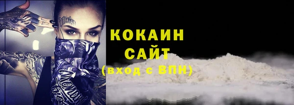прущие грибы Гусиноозёрск