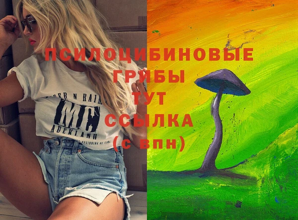 прущие грибы Гусиноозёрск