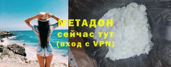 прущие грибы Гусиноозёрск