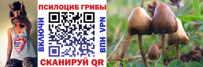 Купить  Вязьма  Галлюциногенные грибы ЛСД 